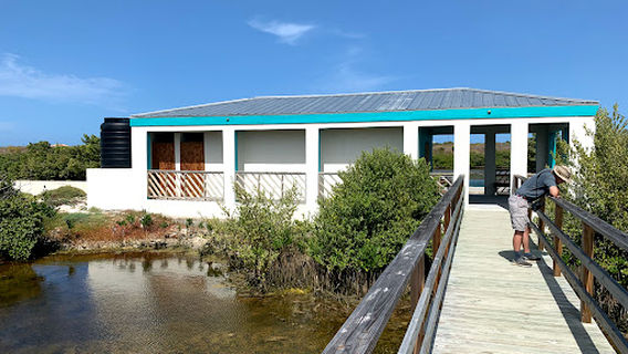Grand Turk Bird Observatory