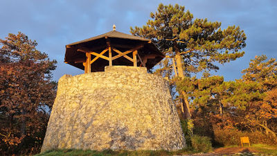Flóra-pihenő