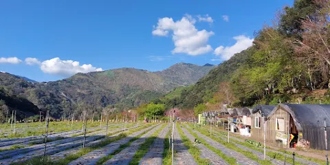 馬赫坡古戰場