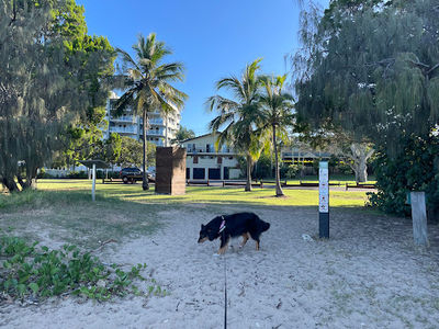 The Pines Park