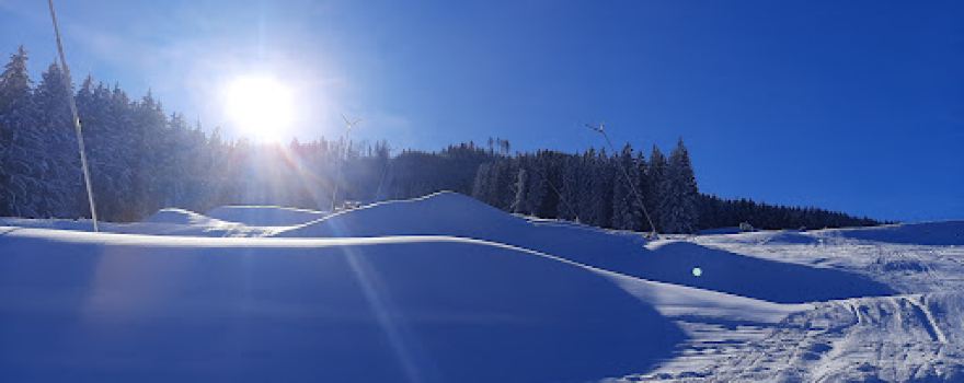 Forsteralm - Waidhofen/Ybbs Gaflenz