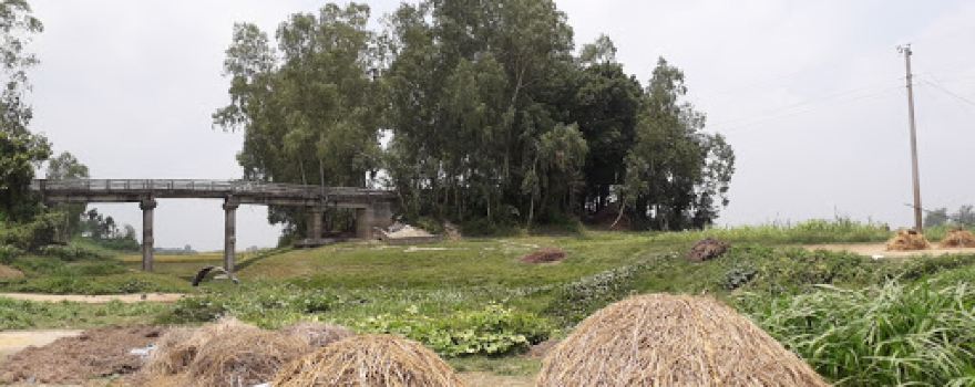 Purbo Bonkirat Jame Mosque