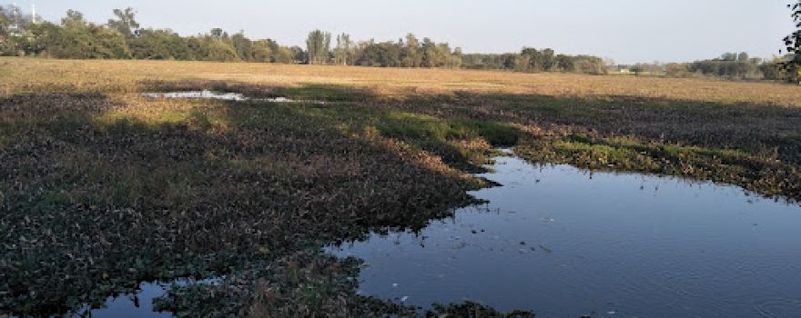 Awnitkapuri Pond