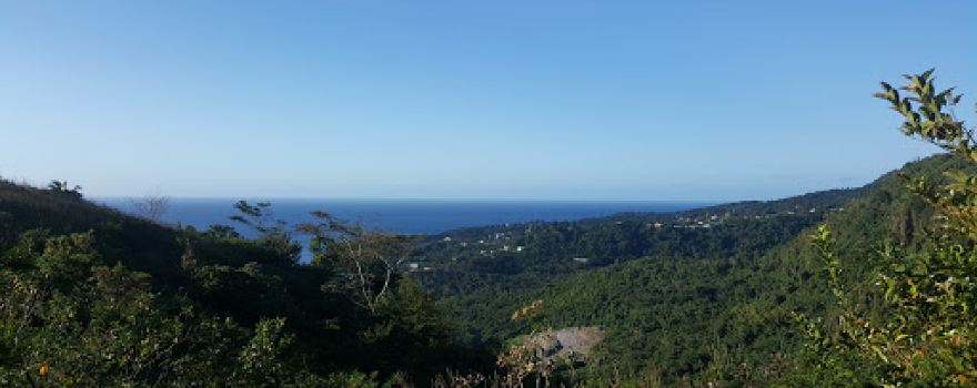 National Bird Wildlife Habitat