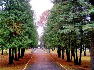 Tsentralʹnyy Park