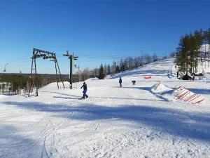 Ski Resort Sveitsi