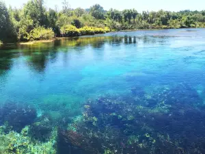Te Waikoropupu Springs