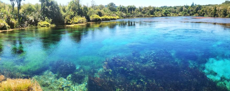 Te Waikoropupu Springs