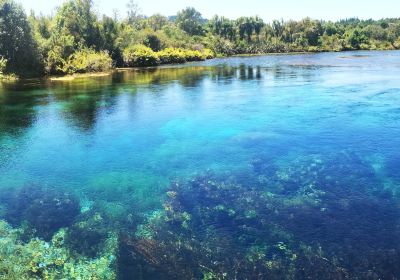 Te Waikoropupu Springs