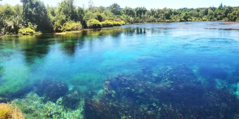 蒂懷科魯普普泉