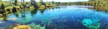 Te Waikoropupu Springs