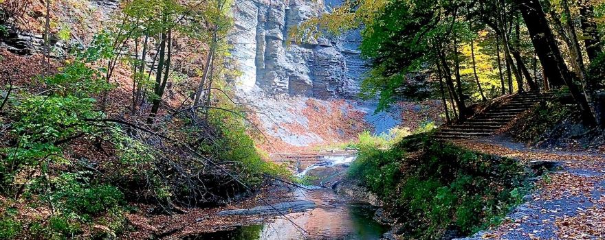 Steuben County