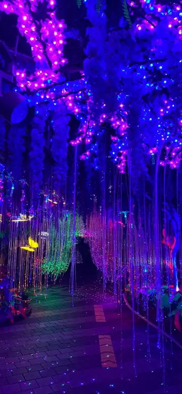 Hotels near Gwangmyeong Traditional Market