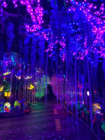 Gwangmyeong Cave