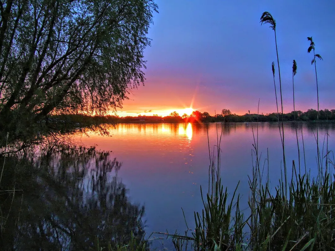3_Priory Country Park