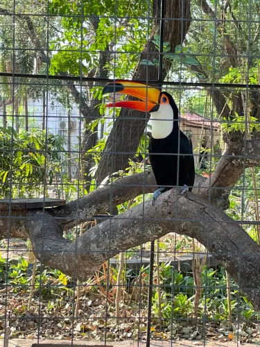 Santa Cruz Zoo