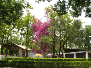 Dehradun Zoo