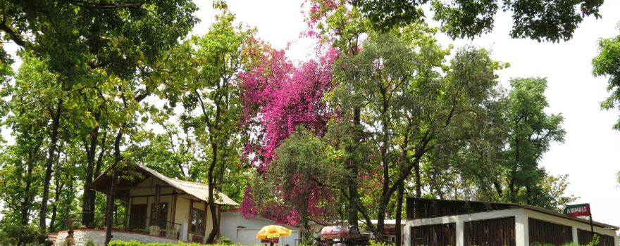 Dehradun Zoo