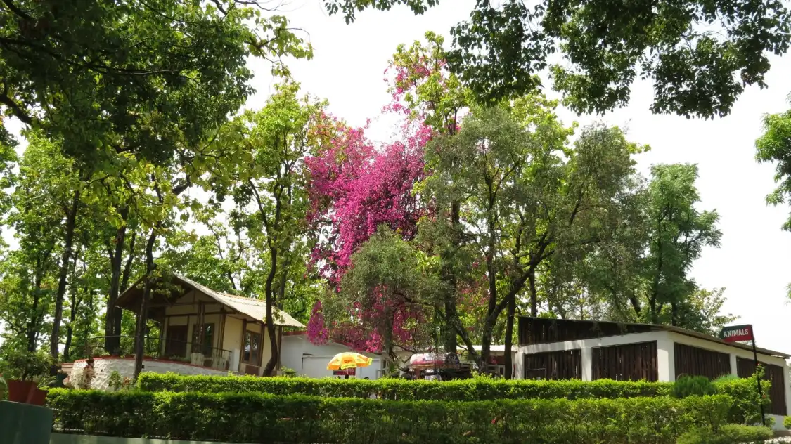 Hotels in der Nähe von Dehradun Zoo