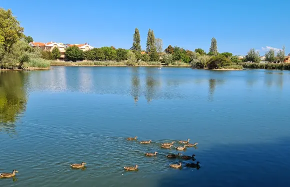 貝拉里亞-伊賈馬里納