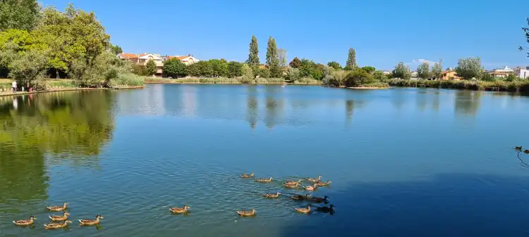 Hôtels à : Bellaria-Igea Marina