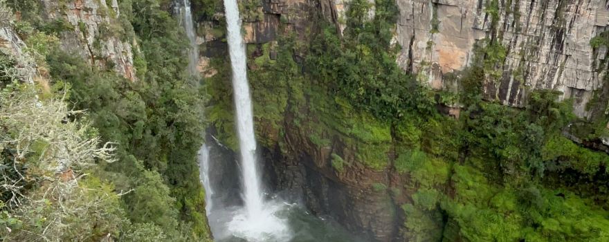 Sabie
