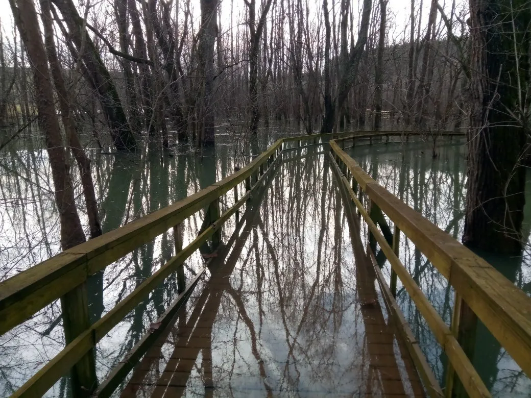 4_Sugar Hollow Park