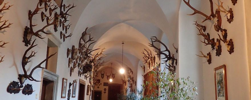 Schloss Brandeis