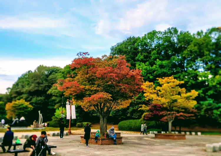 성남 날씨, 성남 기온 가이드, 여행하기 가장 좋은 계절, 기온별 옷차림