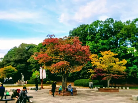 ซองนัมซิ