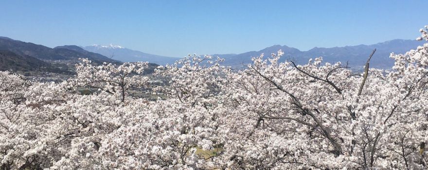 Oboshi Park