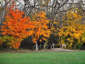Panther Creek State Park