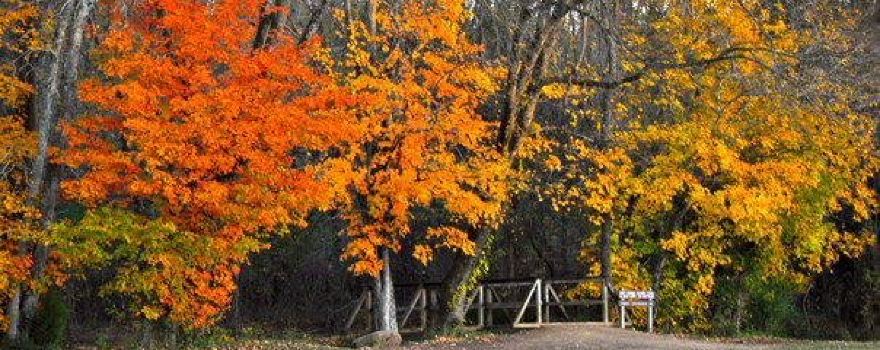 Panther Creek State Park