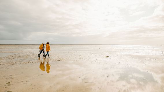 The Wadden Sea, Germany
