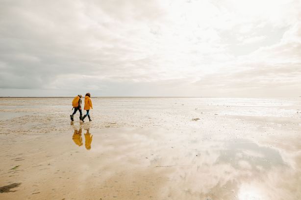 The Wadden Sea, Germany