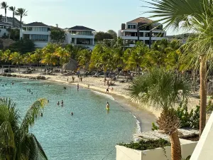 Ponte di barche Regina Emma