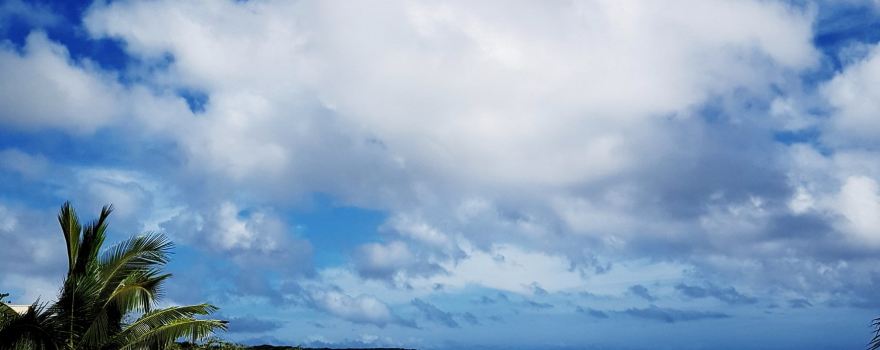 Tomb Point