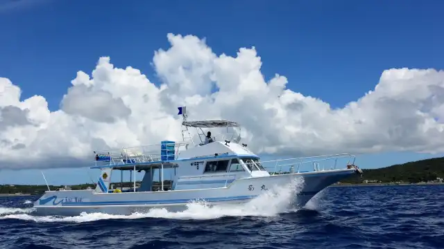 Blue Leaf附近的飯店