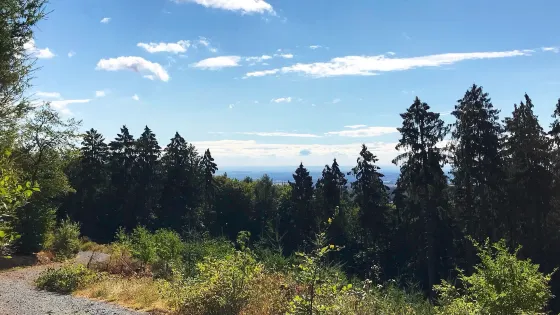 Celtic Trail at the Heidetränk Oppidum