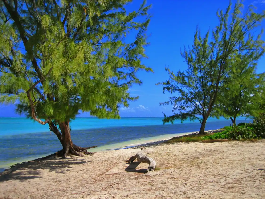 Hotels near Barker's National Park