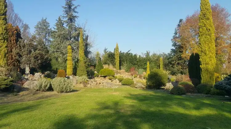 Hotels in Samanlı