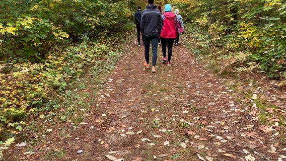 Bracebridge Resource Management Area