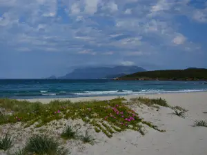 Spiaggia Pittulongu - La Playa