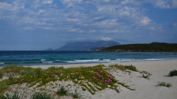 Spiaggia Pittulongu - La Playa