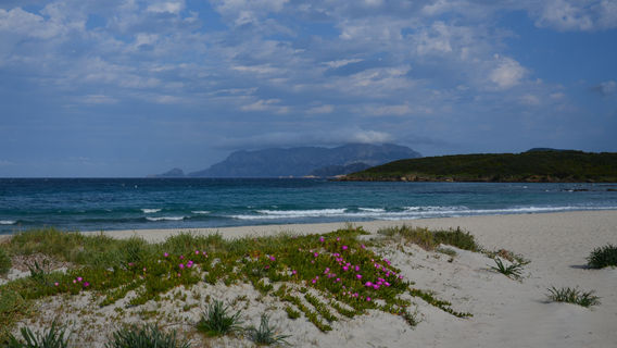 Spiaggia Pittulongu - La Playa