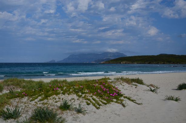 Spiaggia Pittulongu - La Playa