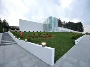 Toshe Proeski Memorial House