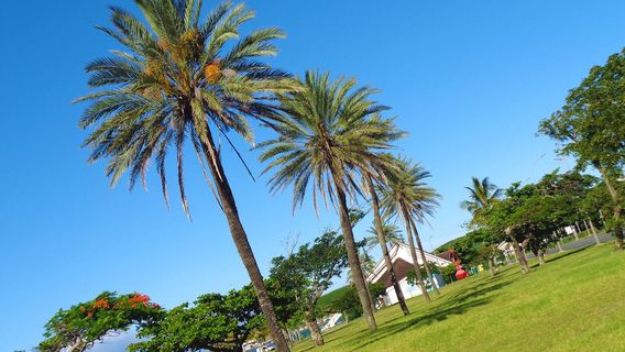 Noumea