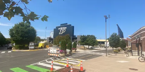 羅斯-埃德體育場