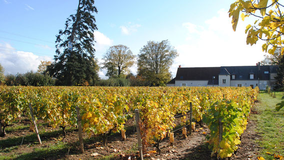 Domaine du Clos de l'Epinay